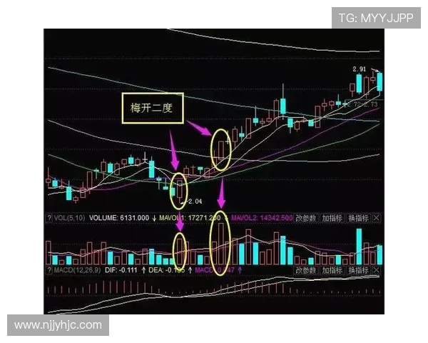 世界杯E组黑马专题深度分析